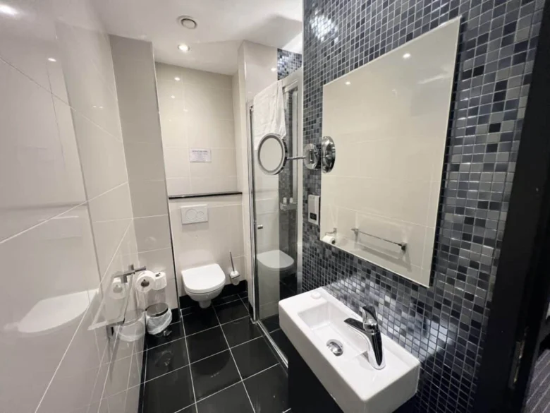 A modern bathroom with black tile floor, white toilet, wall-mounted sink, large mirror, glass shower enclosure, and mosaic tiled wall. Accessories include a towel rack, toilet paper holder, and waste bin.