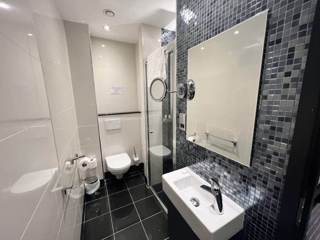 A modern bathroom with black tile floor, white toilet, wall-mounted sink, large mirror, glass shower enclosure, and mosaic tiled wall. Accessories include a towel rack, toilet paper holder, and waste bin.