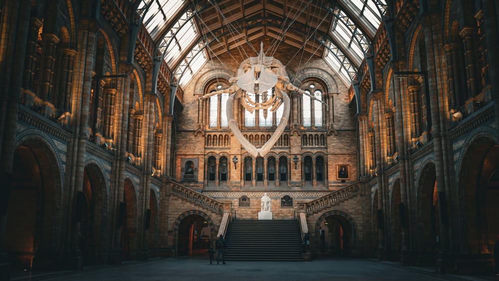 Free Museums and Galleries in London