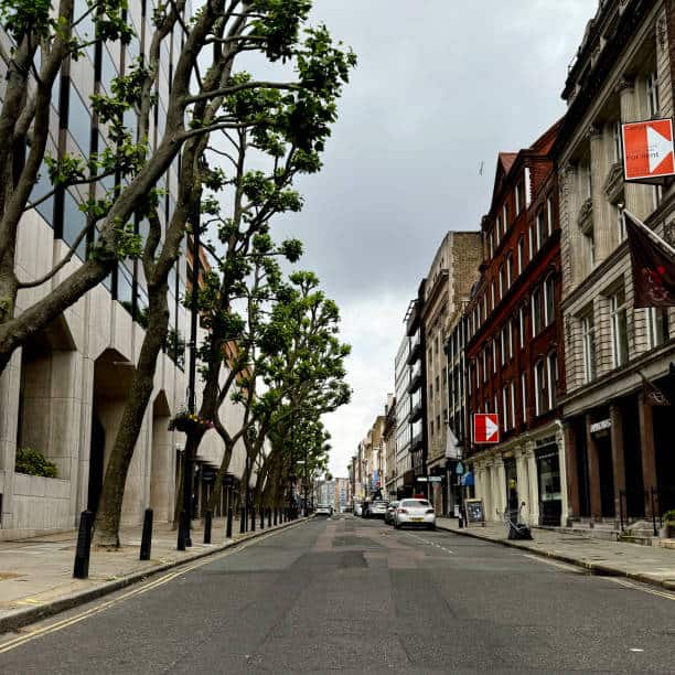 A quiet, empty city street lined with tall trees and historic buildings on both sides under a cloudy sky. Several parked cars are visible along the road.