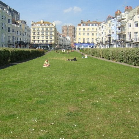 A wide grassy lawn stretches between rows of tall, pale-colored buildings. A few people are sitting or lying on the grass, enjoying the sunny day. Bushes line both sides of the lawn, and the sky is clear.