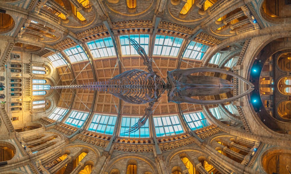 Explore London’s Culture Without the Price Tag