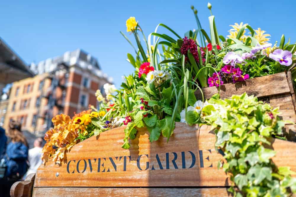 Why Stay with Crown Group of Hotels Any Time of Year