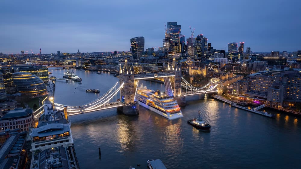 Celebration Ideas: From Dinners to River Cruises