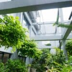 How Our Hotels Reduce Environmental Harm