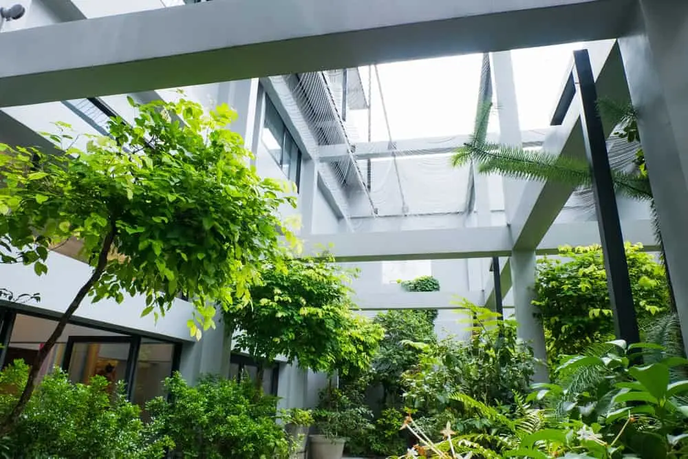 How Our Hotels Reduce Environmental Harm