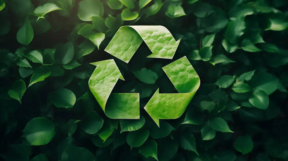 How Do Guests Support Sustainability by Staying With Us?