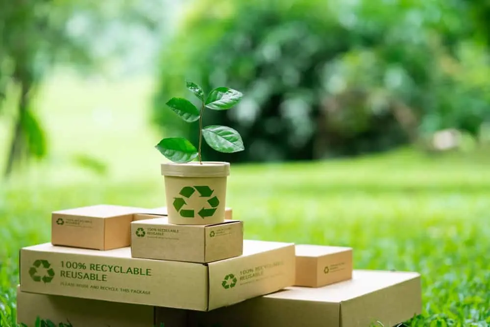 What Does It Mean for a Hotel to Be Environmentally Responsible?