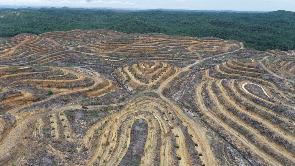 How Do Hotel Products Affect Biodiversity and the Planet?