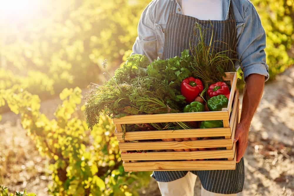 What Does ‘Eating Local’ Actually Mean in London?