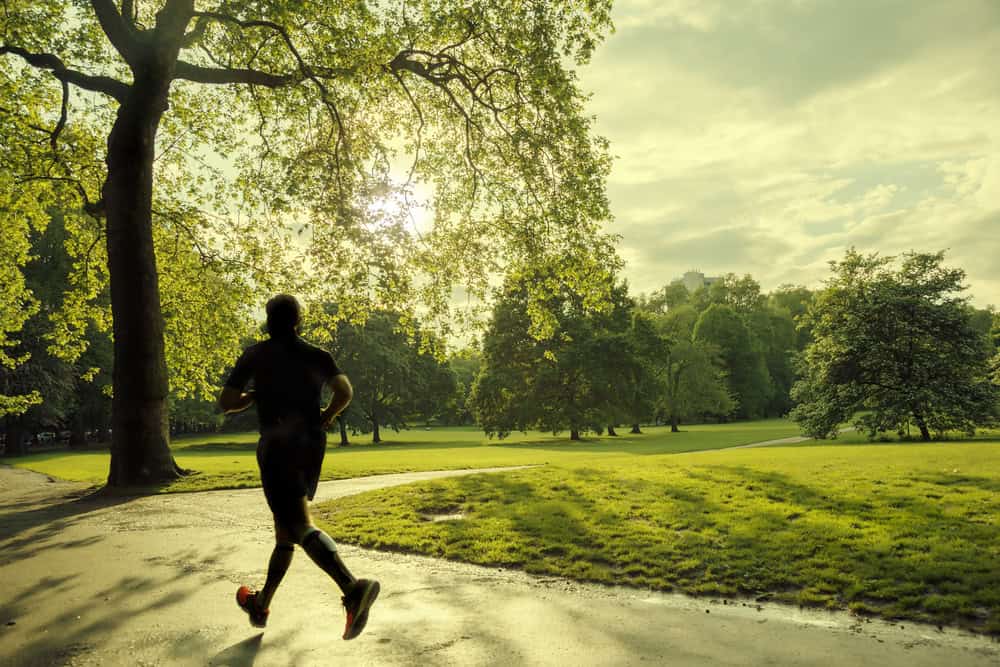 Evening Walks and Hidden Gems for Relaxation in London