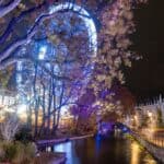 London’s Most Magical Light Trail Experiences This November