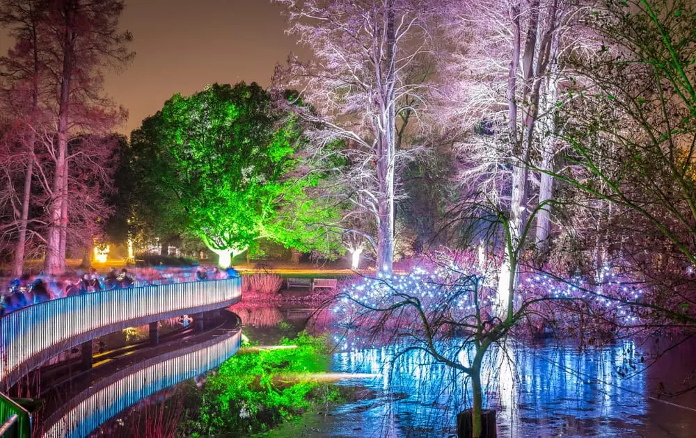 Where are the Top Light Trails Located, and How Do I Get There?