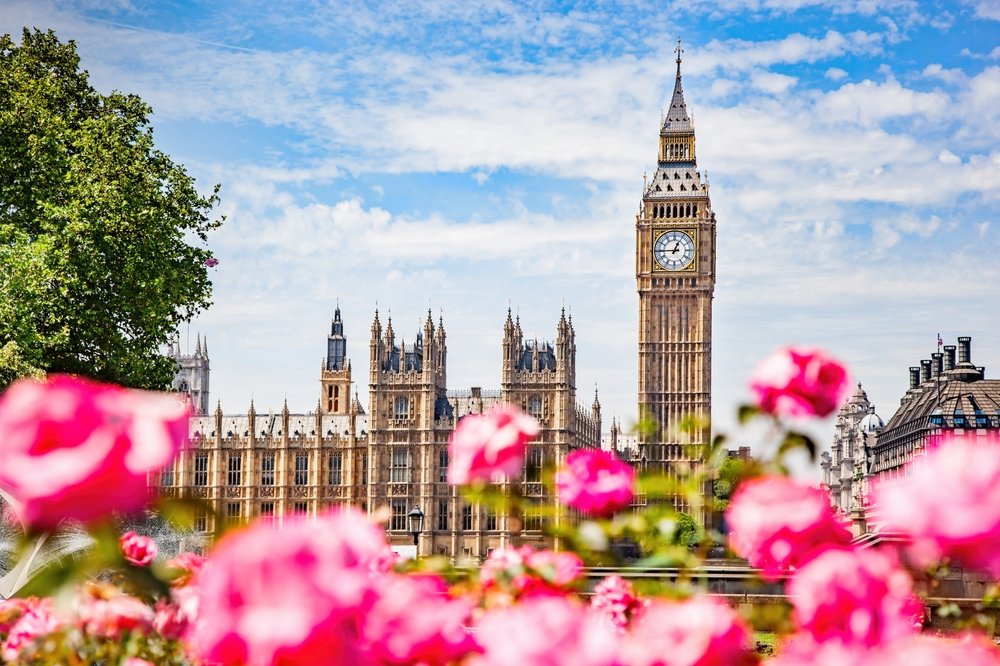Big Ben and the Palace of Westminster in London, with bright pink flowers in the foreground and a partly cloudy blue sky in the background.