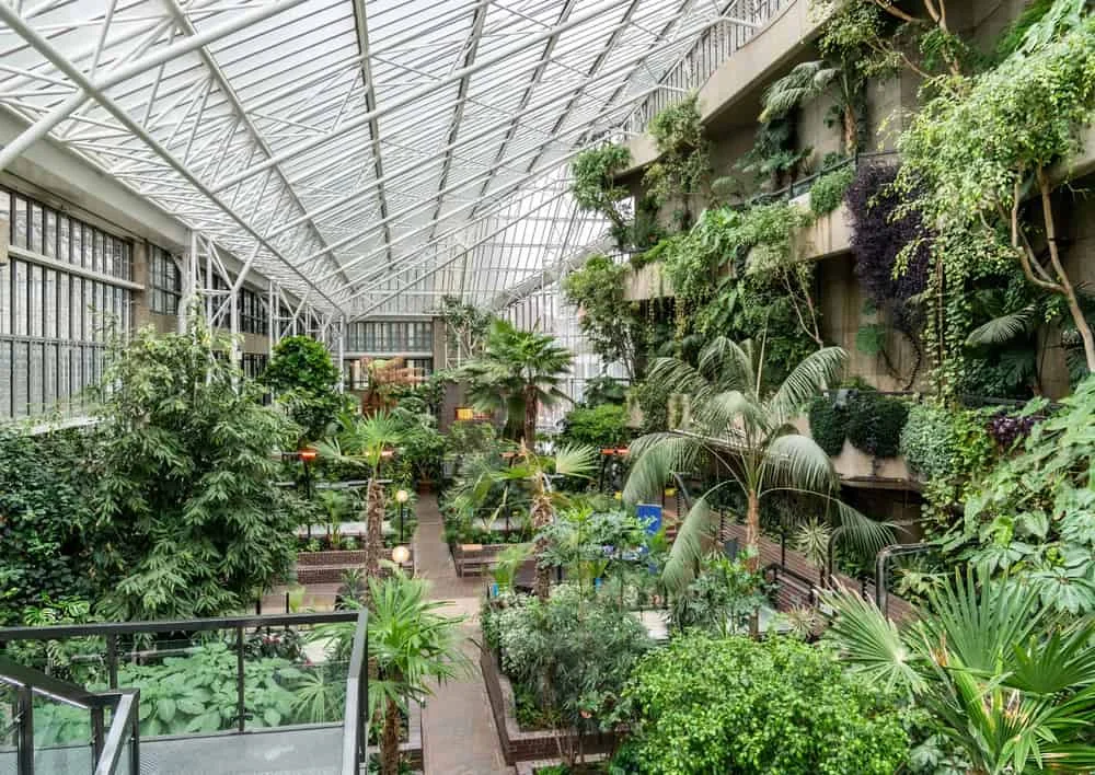 A large indoor conservatory with glass ceiling and walls, filled with lush green plants, trees, and ferns. Perfect for guests at hotels near Liverpool Street Station, its pathways and benches offer a tranquil retreat in a tropical atmosphere.